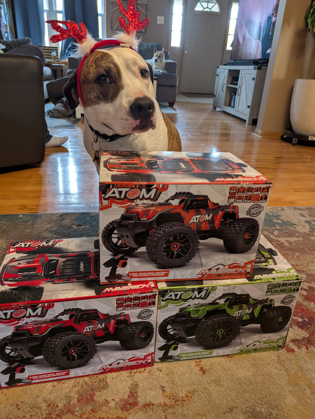 RC Atom Maverick