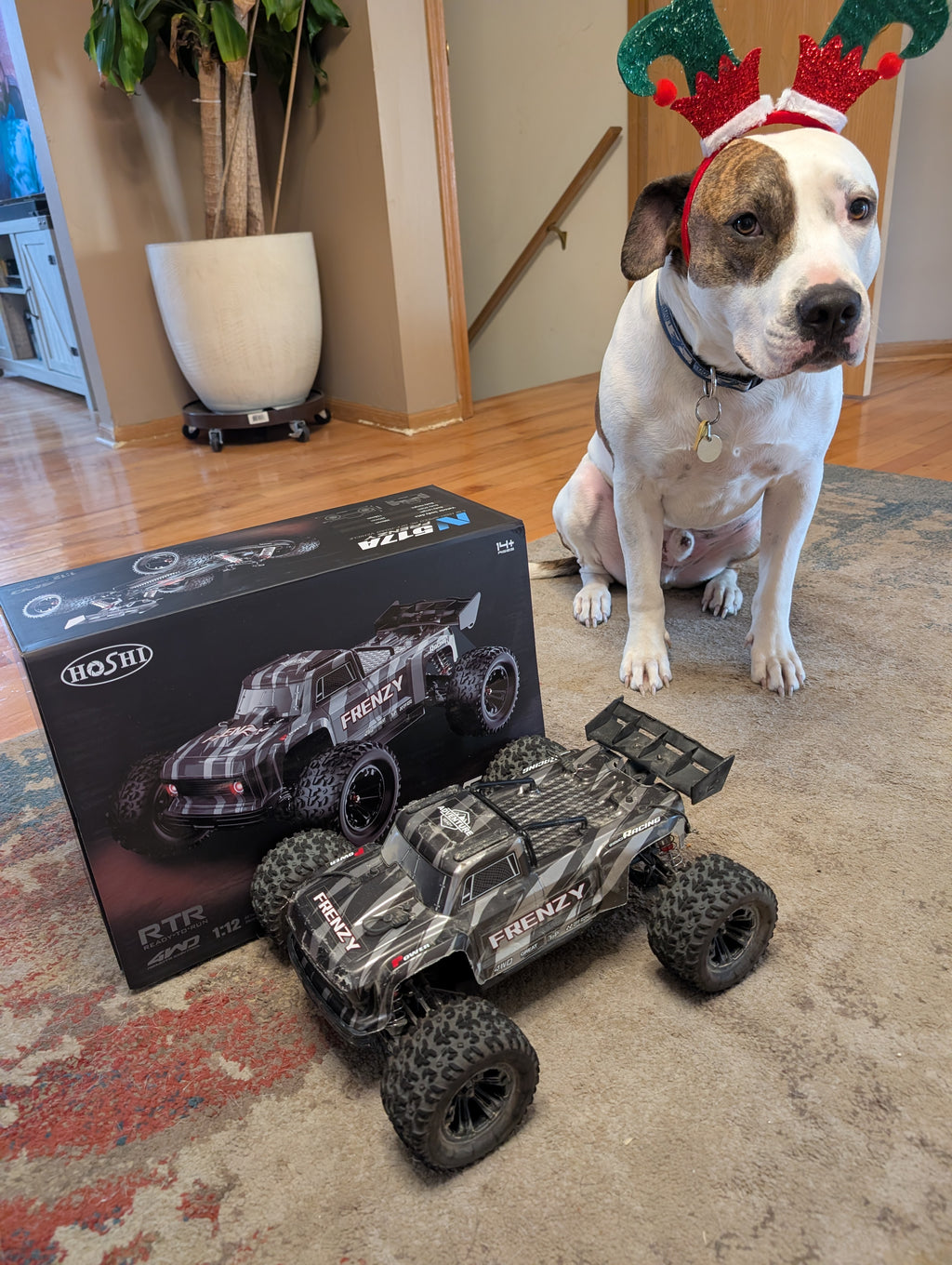 Hoshi 1:12 RC Truck
